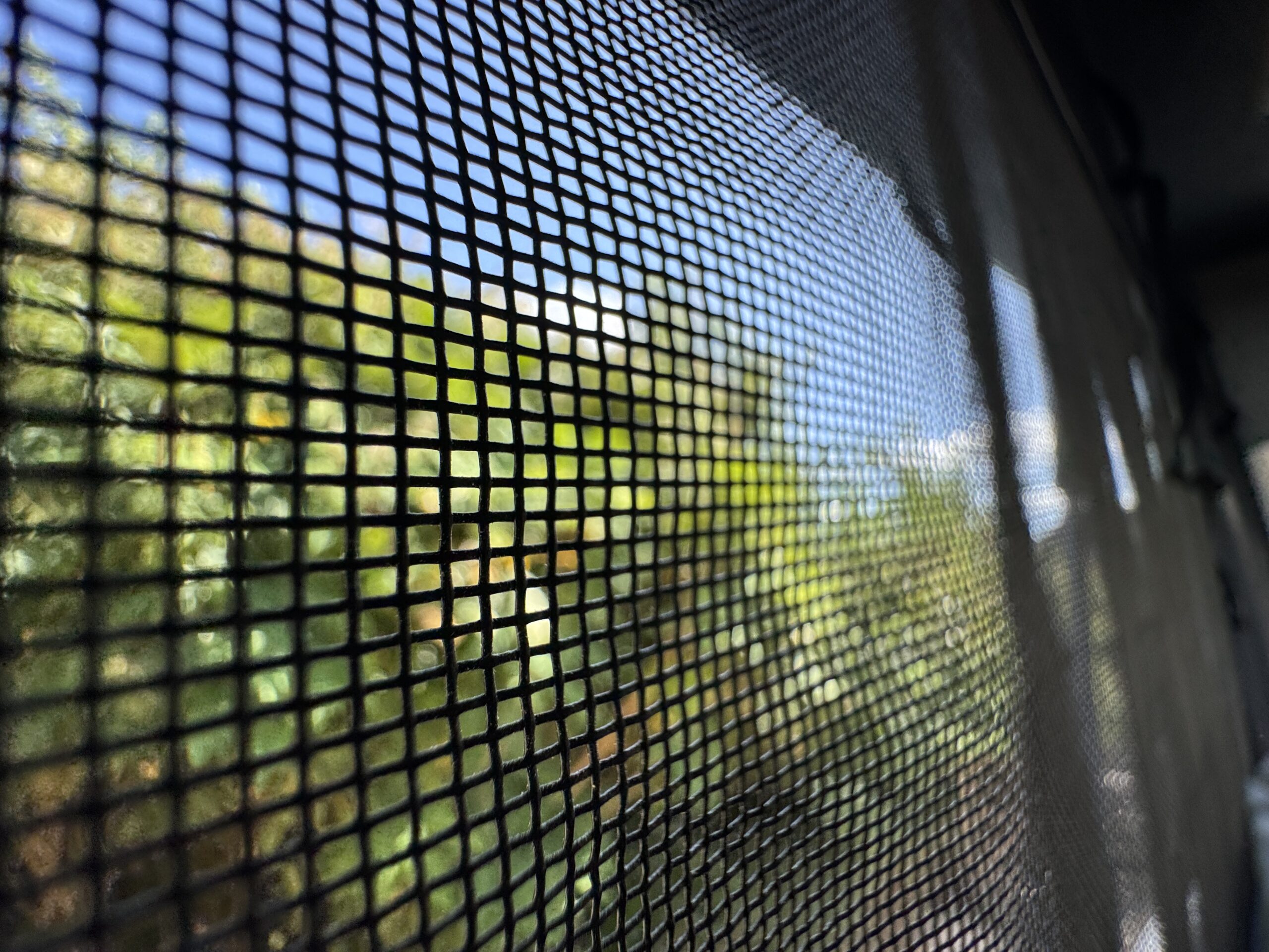 Volkswagen T6.1 Campervan Trek Edition (Silver Star)